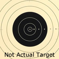 Center for 100 Yard Reduction 300 Yard Military Target